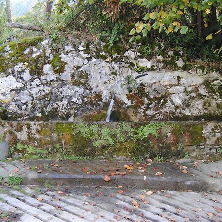 La Currada Villa Taranes Dış mekan fotoğraf